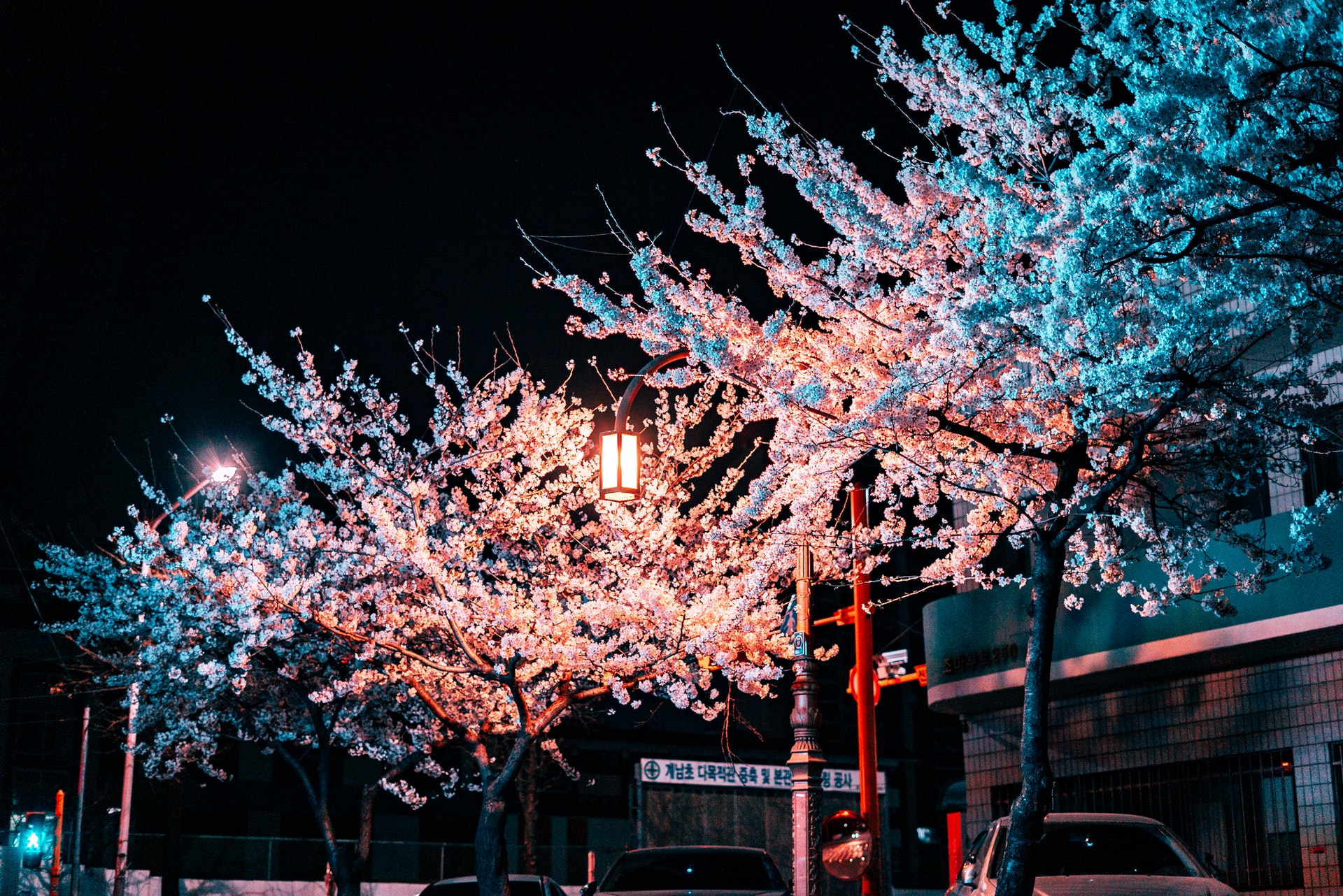 production coordinator in South Korea