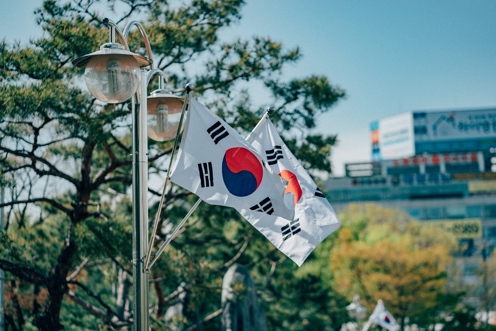 film fixer in South Korea