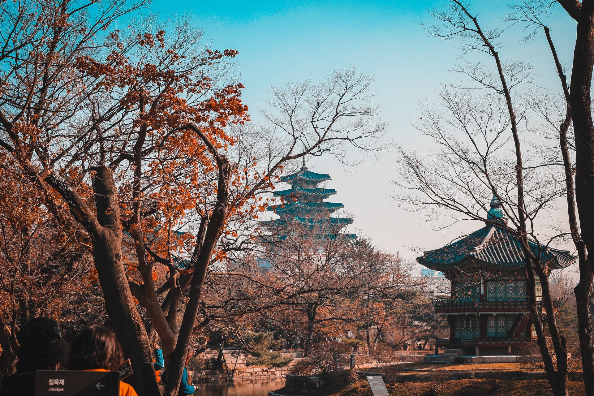 documentary production in South Korea
